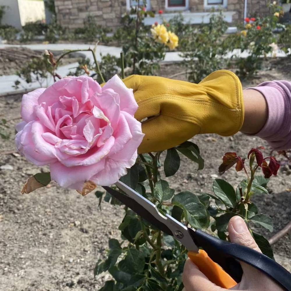 Gardeners Gloves