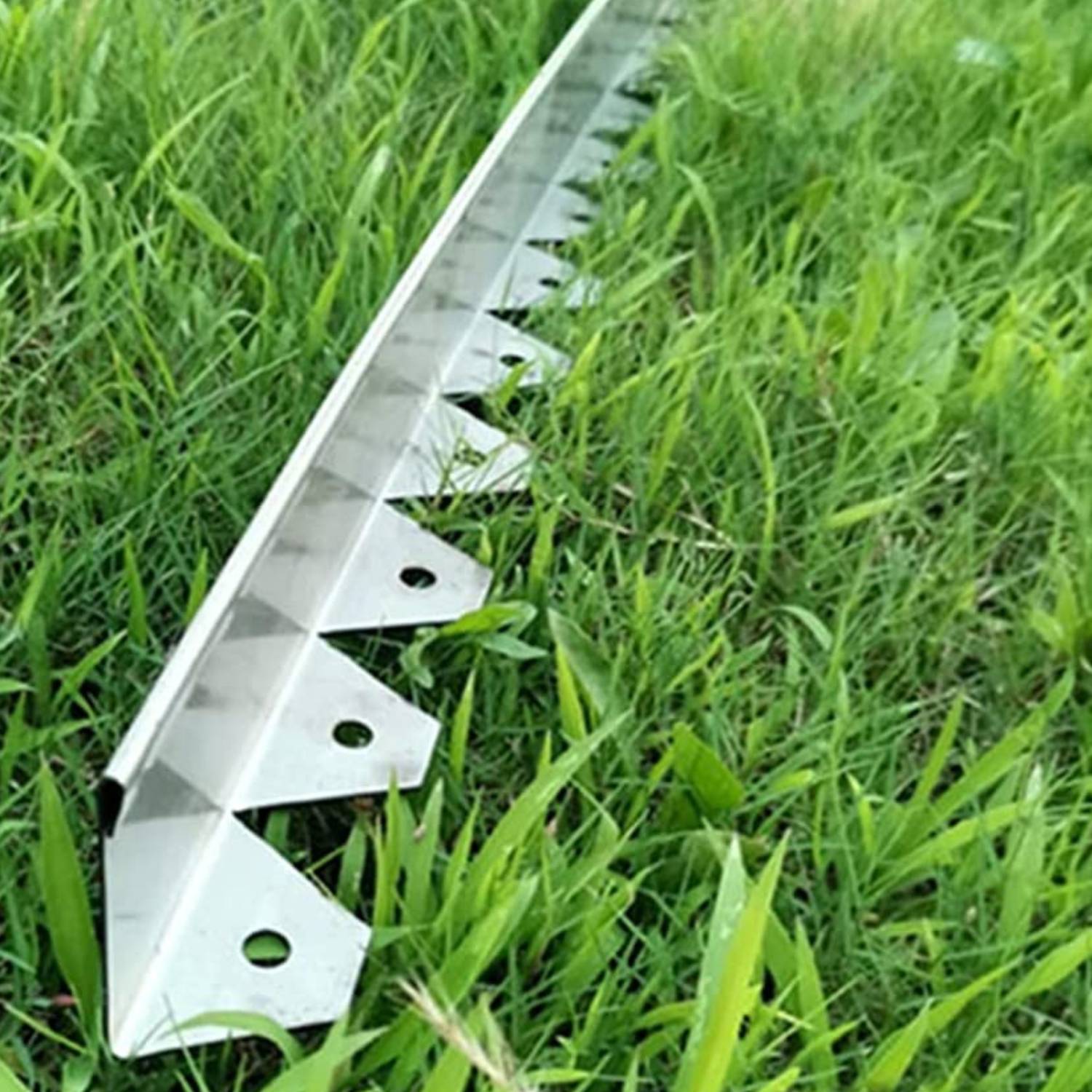 Stainless Steel Landscape Edging (50mm Face Height (per m)): image 9