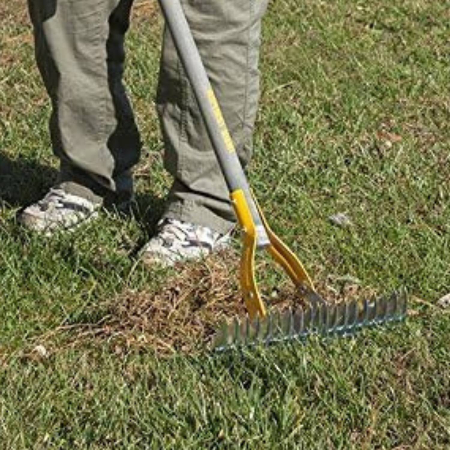 Lawn Thatcher Rake